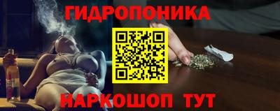 гашик Ливны