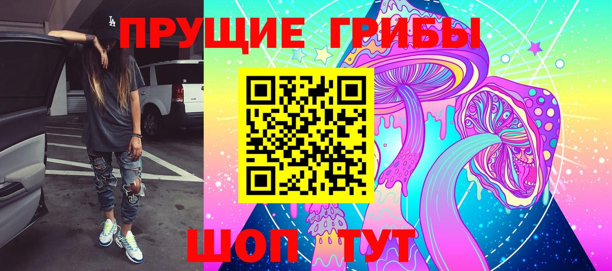 Галлюциногенные грибы Cubensis Зеленодольск