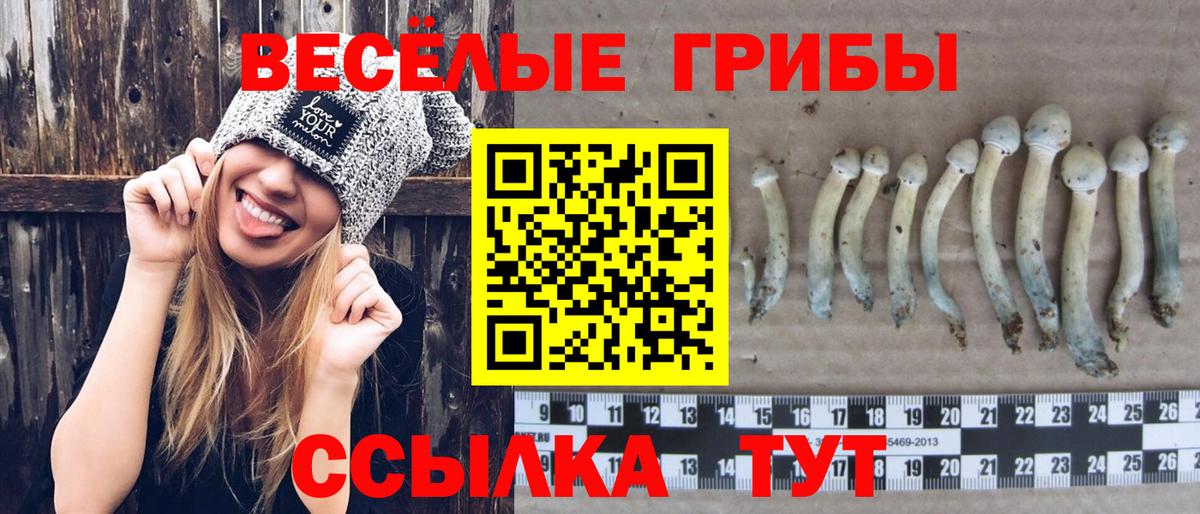 Галлюциногенные грибы GOLDEN TEACHER  Вход с VPN  Зеленодольск  Псилоцибиновые грибы ЛСД 
